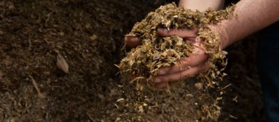 Processamento de grãos na silagem