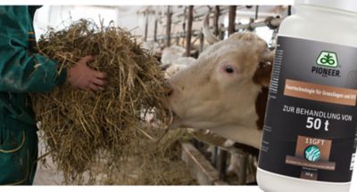 IMG-11GFT-Pioneer-V1