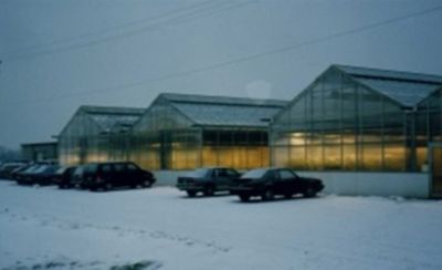 Pioneer History 1990