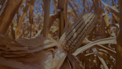 Article Header Darkened for title in white