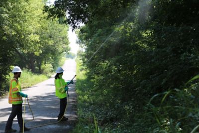 2 Roadside workers spraying trees