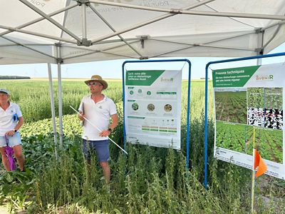 brome sterile