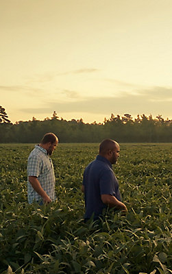 two men walking in crop field at sunrise