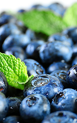 fresh blueberries up close