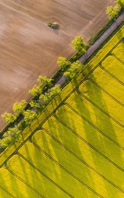 landscape aerial