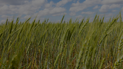 Article Header Darkened for title in white