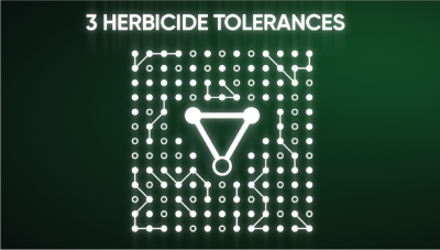 3 herbicide tolerances