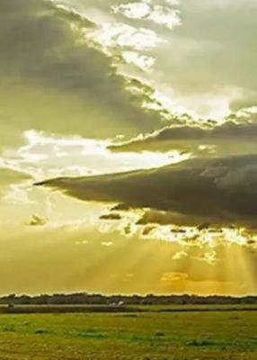 Bright sun rays around cloud above crop field