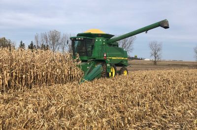 Why Is Farming So Complex?