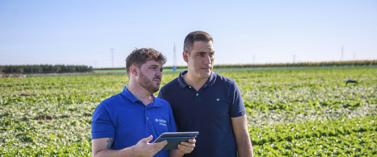 Two adult men stand together in a lush green agricultural field under a clear blue sky. One man in a