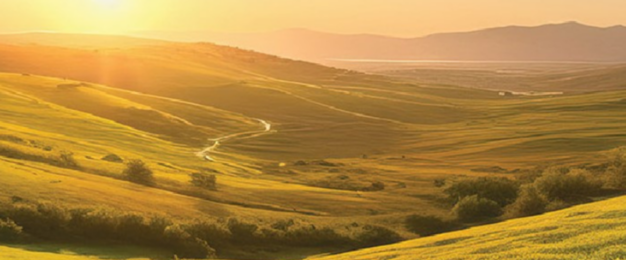 Pasture photo to illustrate why Rinskor™ active is a good fit for Pastures.