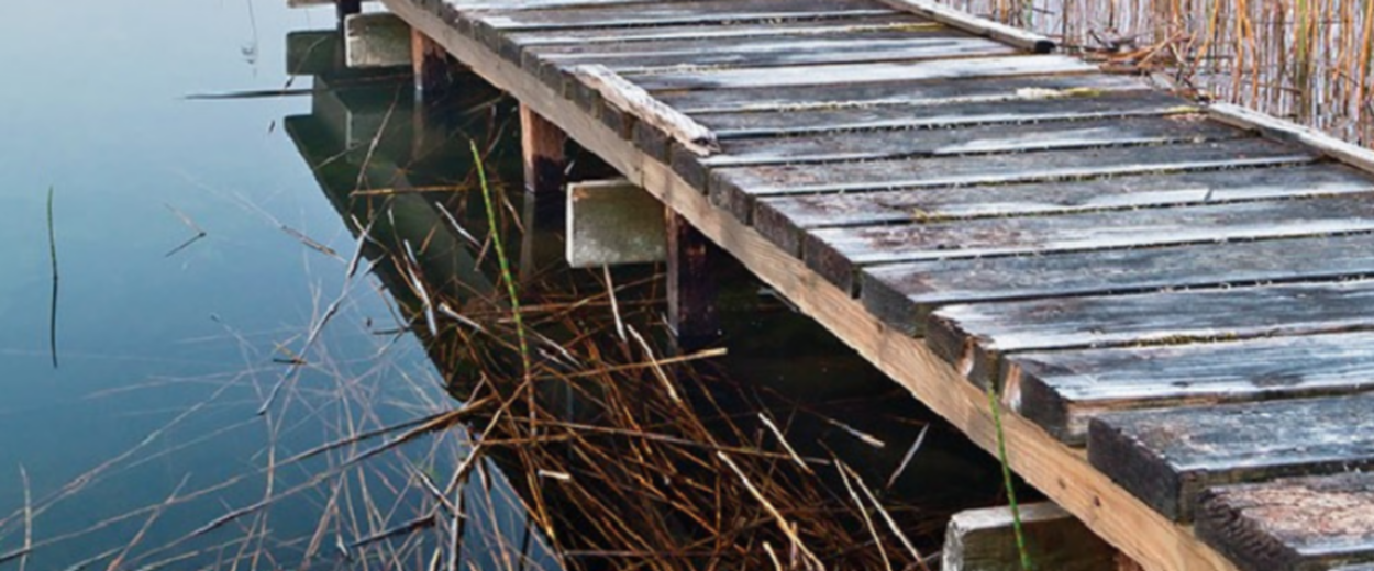 lake photo to illustrate why Rinskor™ active is a good fit for invasive plants in lakes and ponds