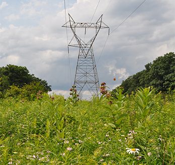 field with power lines