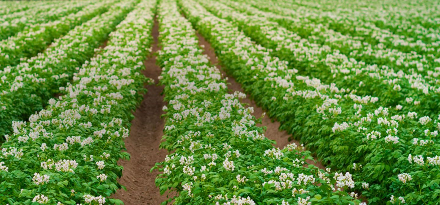 IMG-AF_DOW000221D_WebBanner-Desktop_1440x500-Corteva_LA_BR-V1