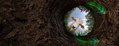 IMG-AF_DOW013422D_webBannerProduto_1440x560px_a01