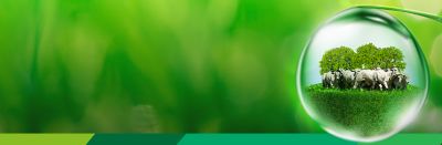 IMG-AF_DOW013522D_WebBanner_1440x470px_Hub_a01