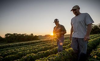 Agricultores caminando