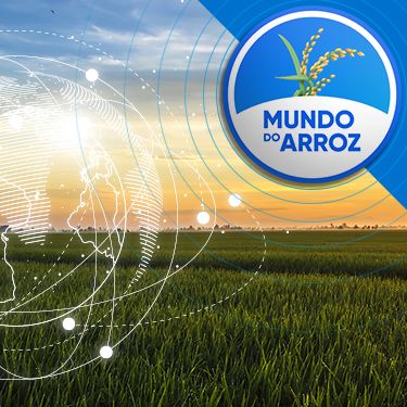 Imagem de lavoura saudavél no crespúsculo com representação gráfica em linhas finas do planeta terra à esquerda Abaixo está escrito "Mundo do Arroz".