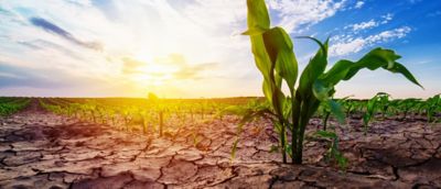 IMG-AdobeStock_159466687-Corteva-V2