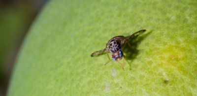 IMG-AdobeStock_226371487-Corteva-Global-V1