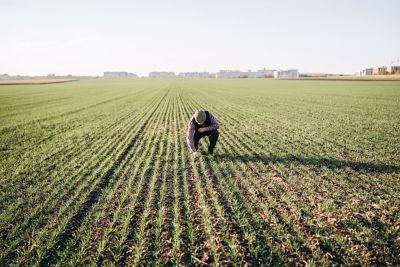 IMG-AdobeStock_261056990-Corteva-ZA-V1