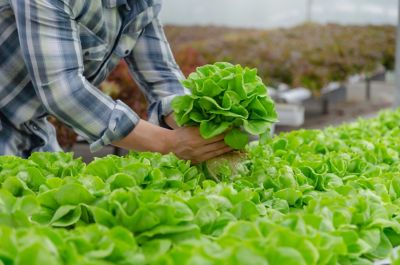 IMG-AdobeStock_284656438-Corteva-V1