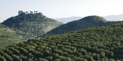 IMG-AdobeStock_403594707-Corteva-Global-V1