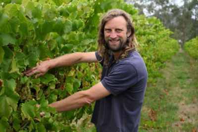 Yarra Valley growers switch away from old chemistry