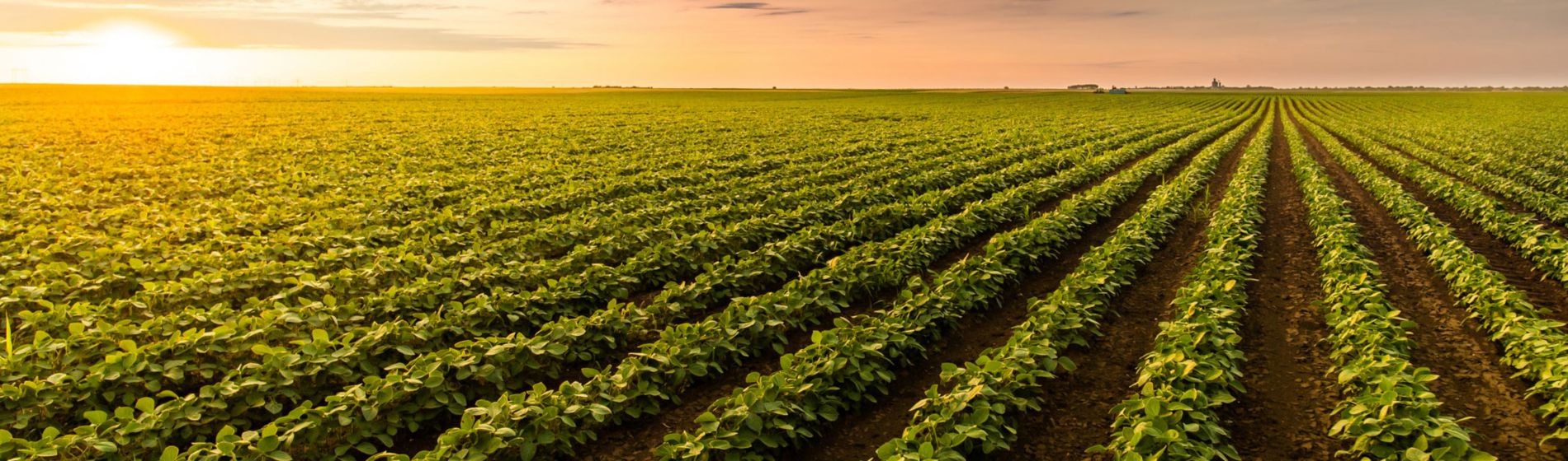 Agenda 2025: ¿Qué medidas entran en vigor?