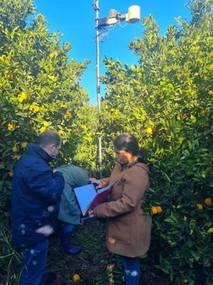 Agricultura Big Data 1