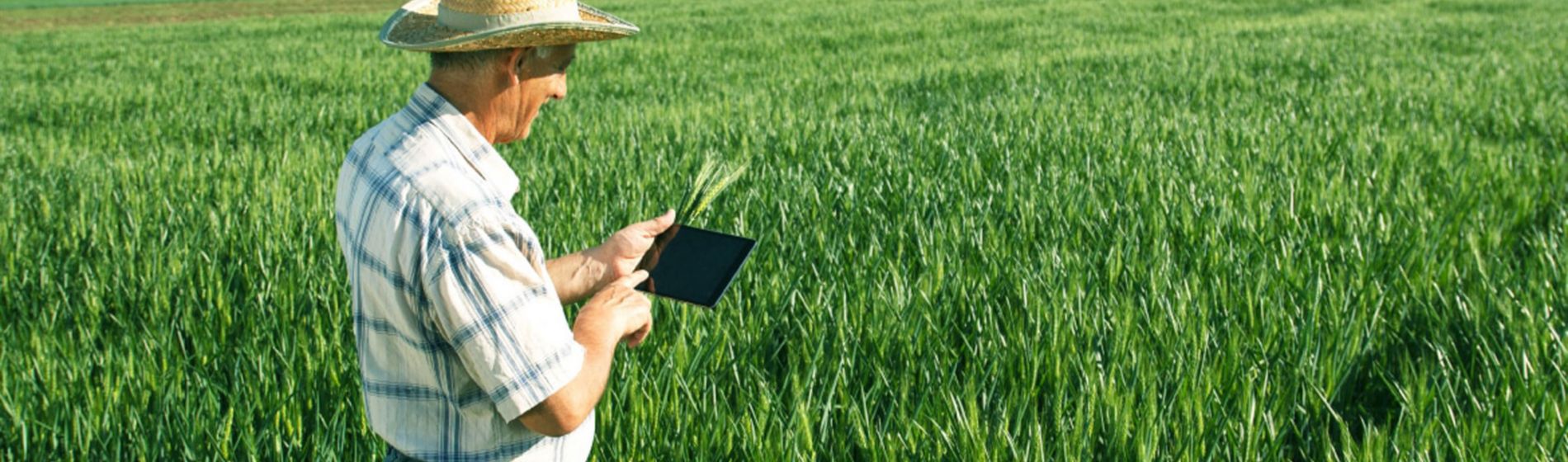 Agricultura Big Data