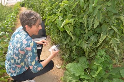Leire Vadillo controla los datos de una sonda que mide la humedad del suelo. 