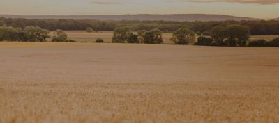 L’agriculture face au défi de la durabilité 