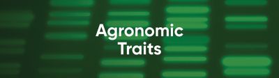 Agronomic Traits 