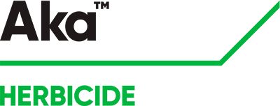 Brand_Logo