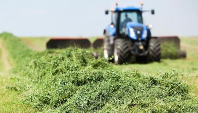 Recolección de alfalfa