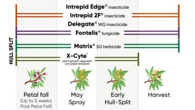 Hull Split Tree Nut Phenology