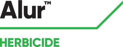 Brand_Logo