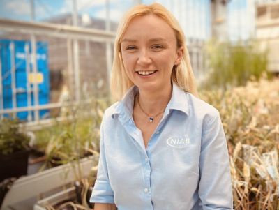 Dr Aoife O’Driscoll