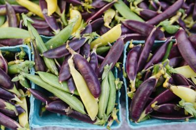 purple and green seed pods