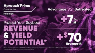 Aproach Prima Soybean graphic