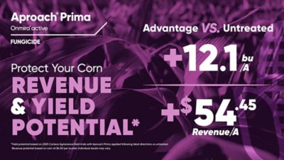 Aproach Prima Corn graphic