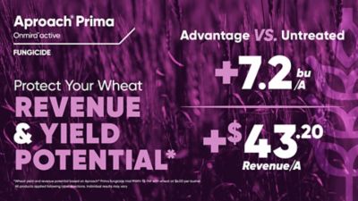 Aproach Prima Wheat graphic