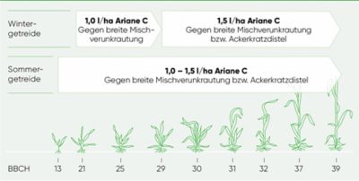 Ariane C Anwedungsempfehlung