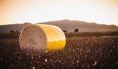 cotton harvester
