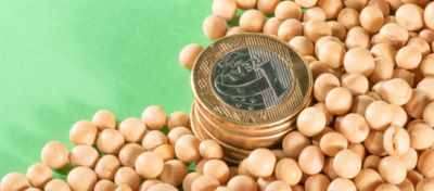 Moeda de um real sobre grãos 