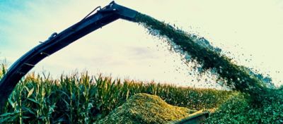Colheitadeira de silagem de milho realizando o processo no campo.