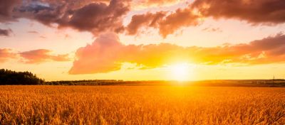 A história de José Américo Simões, o “Manuelito”