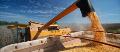 Máquina agrícola realizando a colheita de milho.