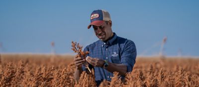 agricultor segurando planta de sorgo